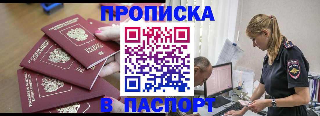 прописка поиск в Бийске