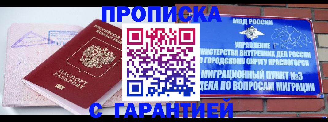 прописка законно в Бийске